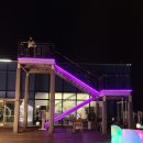 호텔토마토 | 강릉 탑스텐호텔 스카이라운지 이용후기 - 마르게리따 피자 토마토 파스타 메뉴 가격,맛