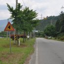 장흥읍사무소 이미지