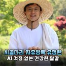 자연속[애]유정란 | AI 걱정 끝! 시골다리 자유방목 유정란 솔직 후기