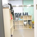 힘찬합기도주짓수태권도 이미지