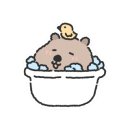 5월에5시간 이미지