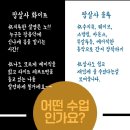 시니세