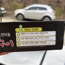 집에서 편하게 먹는 돼지갈비 양념맛 진포랑 포천이동왕구이