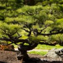 백두농원 이미지