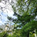 상상팩토리어학원 | 상상팩토리 장희정 원장님 세미나후기