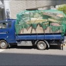 푸른솔환경 이미지