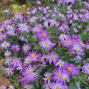 청하농장 이미지