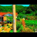 경매직전,당6천원~몽땅다드려요,경매보다싼,과수원,체류형쉼터,농막,버섯재배사,임업인,과수원,캠핑장,강원도,경기도,시골집,급매물부동산 매매 이미지