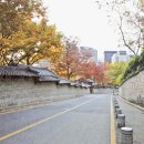 덕수궁길 이미지