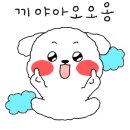 헤이독(HEY-DOG) 이미지