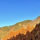 힐링(장태산) 이미지