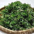 산후테리아
