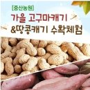 중산농원