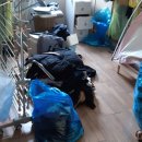 원룸세탁 이미지