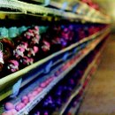 곰치농장 이미지