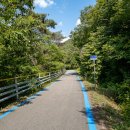 대황강 출렁다리 이미지