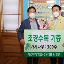 수목개발 이미지