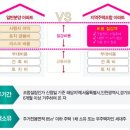 비봉하우스 티스토리