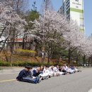 용인대비룡태권도사관학교