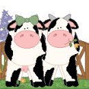 소한마리 이미지