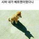 [12주차 희언], 말로 장난을 치자 이미지