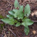 봉다리농장 이미지