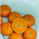 라이프헬스 이미지