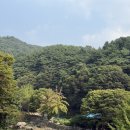 [공주] 당일치기 혼자 공주여행