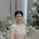 디어 브리에