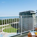 라카이샌드파인 이미지