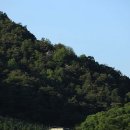 자라마을 이미지