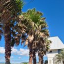 대정오션뷰풀빌라 이미지