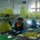 옥천군 농산물산지유통센터 이미지