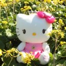 헬로키티아일랜드 이미지