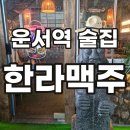 한라맥주운서점 | 한라맥주 운서점 | 분위기와 가성비 모두 잡은 운서역술집