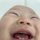 드로잉제이