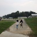 국수나무 풍암점 이미지