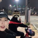 신촌복권 이미지