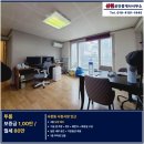 사창가스