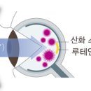 티나하우스 이미지