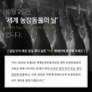 돌속농장 이미지