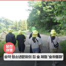 송악 청소년문화의 집 숲 체험 프로그램 &#39;숲하둠파&#39; 후기