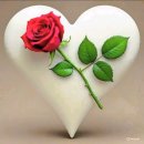 Giovanni Marradi ⑬ - Joyful Spring. Spring Love. etc 10곡 이미지
