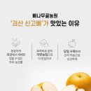 배나무골농원 이미지