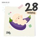 달사과마을 | [임신기록] 임신일기 임신말기 임신후기증상 임신 28-30주차