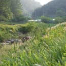 소광리민박 이미지