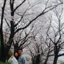 사오목장 이미지