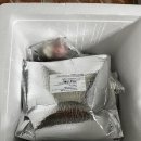 [24한국]아침대용으로 먹기좋은 떡 맛집 아이엠떡