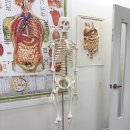 간호학원 국비지원 간호조무사 자격증 내일배움카드 수강신청 후기
