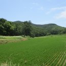 말머리공원 이미지